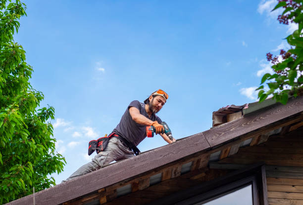 Best Cold Roofs  in Stevensville, MI