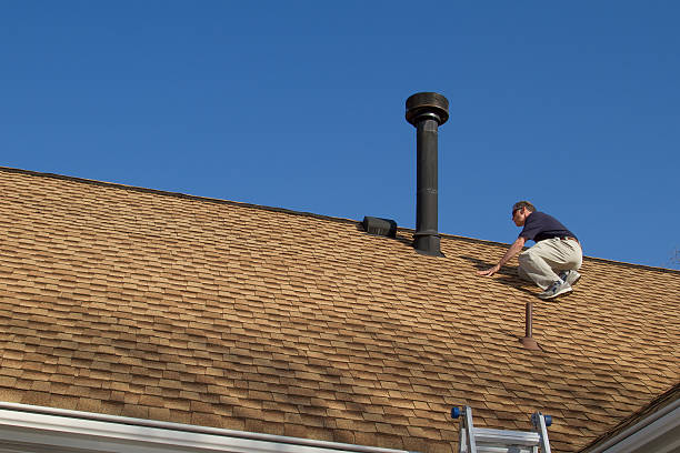 Best Roof Ventilation Installation  in Stevensville, MI